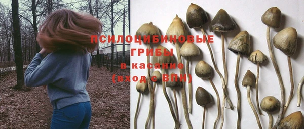 ECSTASY Армянск