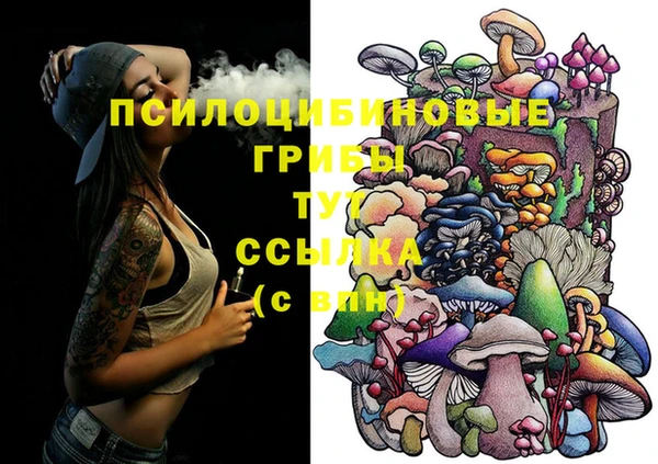 хмурый Арсеньев