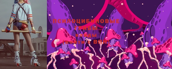 2c-b Алзамай