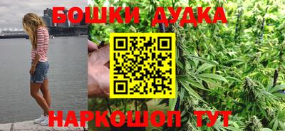 индика Новозыбков