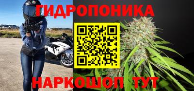 ешки Новодвинск