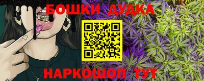 ешки Новодвинск