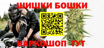 индика Новозыбков