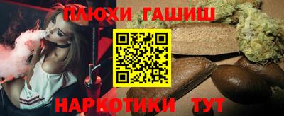 индика Новозыбков