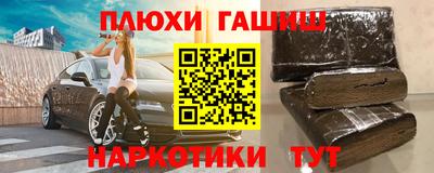 индика Новозыбков