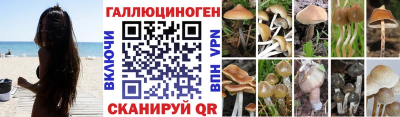 Галлюциногенные грибы MAGIC MUSHROOMS  даркнет состав  Чернушка 