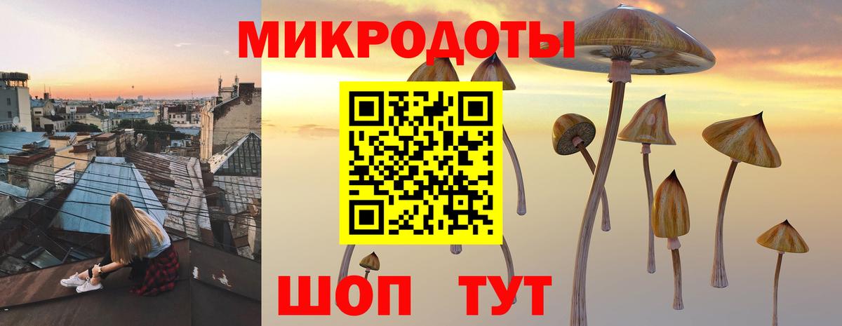 сколько стоит  Вход с VPN  Псилоцибиновые грибы Magic Shrooms  Чернушка  Псилоцибиновые грибы Psilocybe 