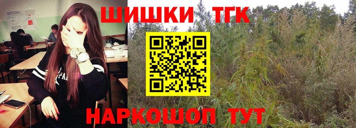 Каннабис планчик Чернушка